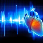 Благодаря специальным клеткам и собственной электропроводящей системе сердце работает в определенном ритме и последовательности