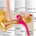 Ear pain - causes