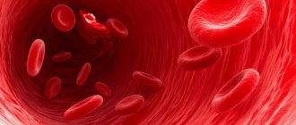 Where are red blood cells destroyed?