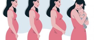 Гинеколог назвала способ для беременных женщин избежать резус-конфликта