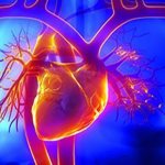 КТ-коронарография сосудов сердца