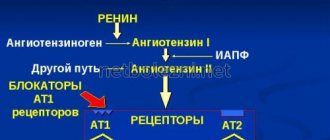 Mechanism of action of drugs