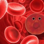Normal hemoglobin level in children