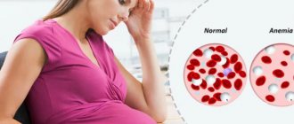 Hemoglobin norms during pregnancy: how does its level change?