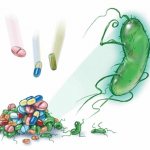 Features of the action of antibiotics