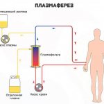 Blood plasma: what it is, composition and functions, diseases affecting the properties of plasma