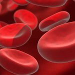 Why is human blood red?