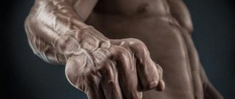 why do guys have visible veins on their arms?