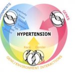 Причины гипертонии