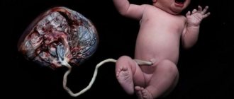 The umbilical cord and its role in childbirth