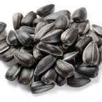Seeds and cholesterol