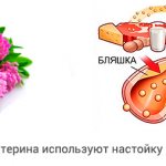 Effect of clover on cholesterol